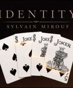 06802-Identity-Sylvain-Mirouf