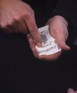 Identity – Image 2