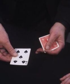 Identity – Image 3