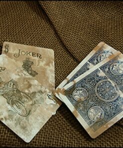 Bicycle Expert Back (bleu)