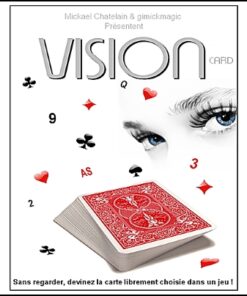 Vision