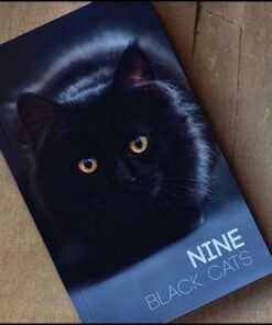 Nine Black Cats