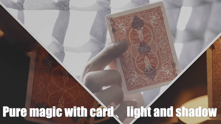 Light & Shadow – Image 3