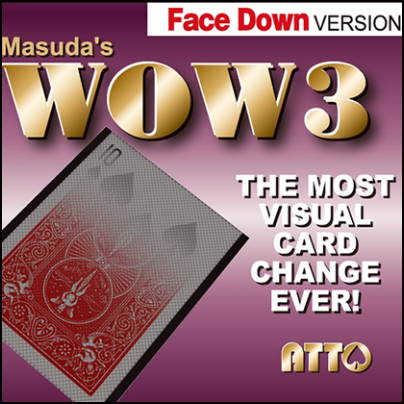 wow 3 face en bas - masuda