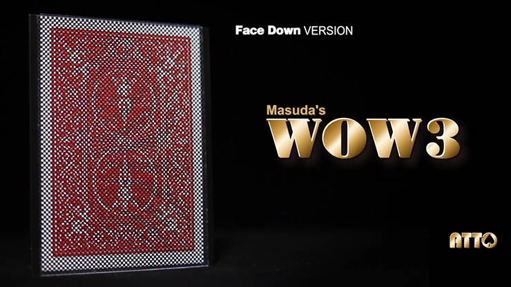 WOW 3 (face en bas) – Image 4