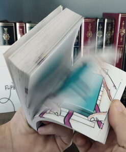 Alternative view of The Flip Book