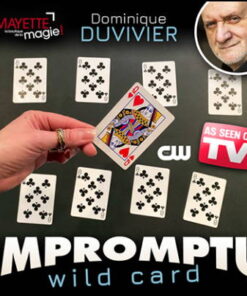 Impromptu wild card - Dominique Duvivier