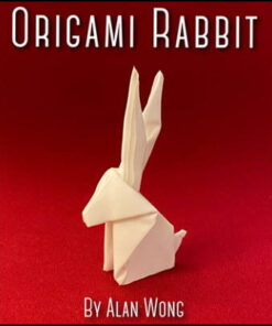 Origami Rabbit - Alan Wong