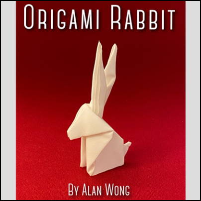 Origami Rabbit - Alan Wong