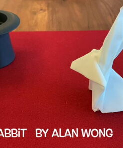 Alternative view of Origami Rabbit