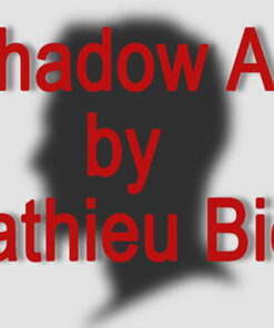 Alternative view of Shadow Art (Batman)