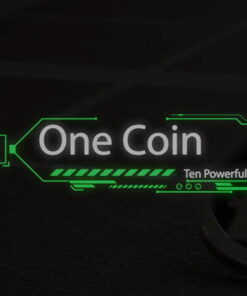 Alternative view of Leo's Coin