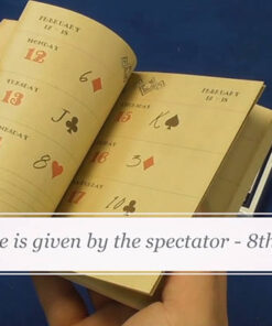 Alternative view of Houdini's Diary