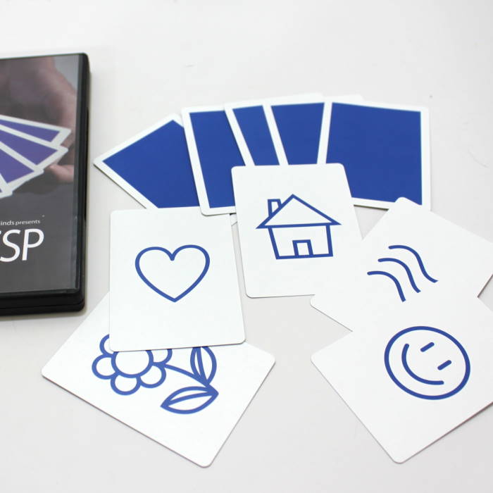 Modern ESP – Image 2