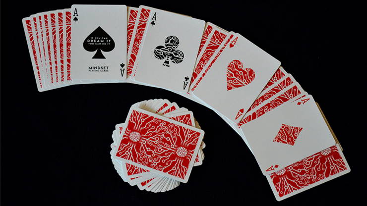 Jeu Mindset (marqué) – Image 4