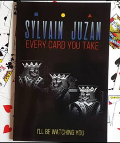 every-card-you-take-sylvain-juzan