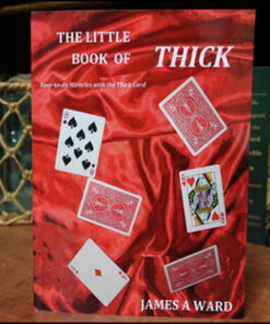 the-little-book-of-thick