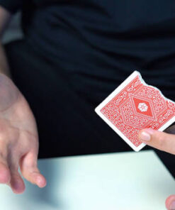 Alternative view of Ripped Travel