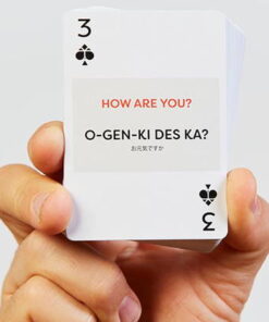 Alternative view of Jeu Lingo (japonais)