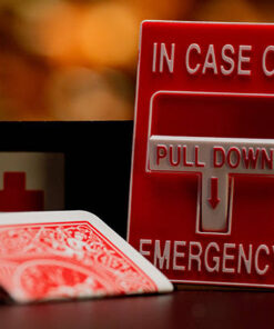 Alternative view of In Case of Emergency