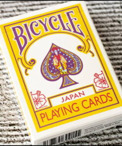 jeu-bicycle-japan