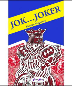 jok-joker-damien-vappereau