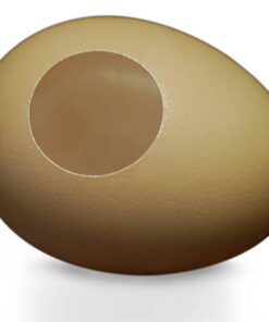 Silk to Egg (Foulard à l’oeuf) – Image 2
