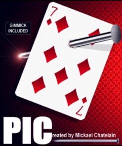 4653-pic-michael-chatelain