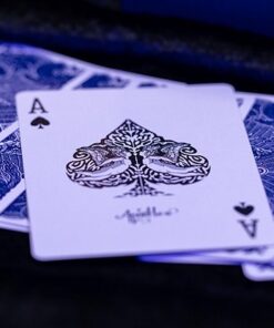 Jeu Apostles – Image 4
