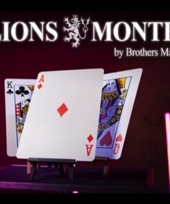 4704-lion-monte-brother-magic