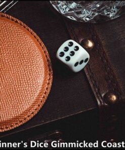4740-winner-dice-gimmicked-coaster-secret-factory