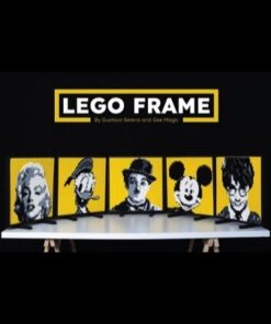 4779-lego-frame-gustavo-sereno