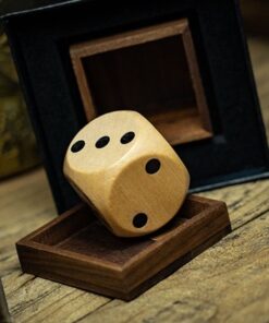 Alternative view of Dice Vision