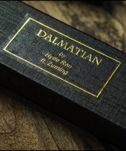 4831-dalmatian-tcc