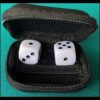 4973-ls-dice-leo-smetsers
