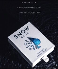 4982-snow-deck-yoan-tanuji