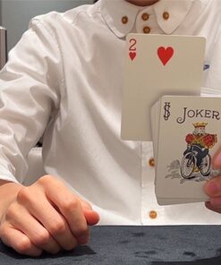 Alternative view of Ultimate Card to Card Case