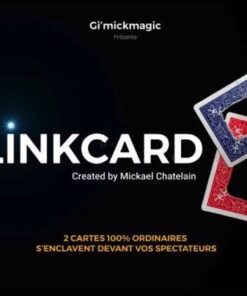 5174-linkcard-mickael-chatelain