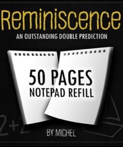 5223-reminiscence-recharge-michel