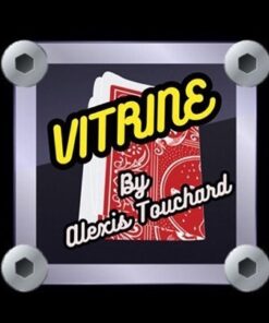 5420-vitrine-alexis-touchard