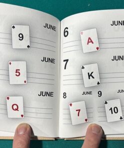 Alternative view of LS Diary