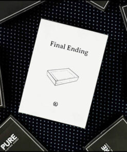 Final Ending