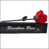 5649-rainbow-rose-jl-magic