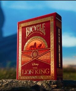 5714-jeu-bicycle-disney-lion-king
