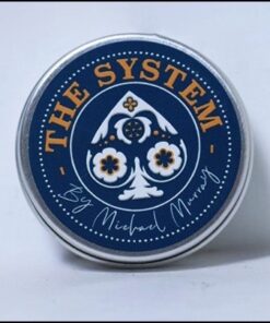 5737-the-system-michael-murray