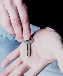 Alternative view of Homebound