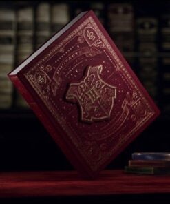 5779-coffret-harry-potter-theory11