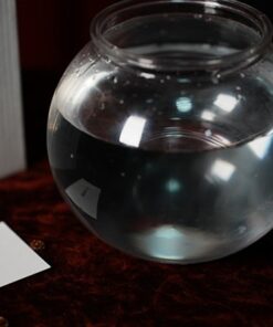 Alternative view of Flash Fish Production