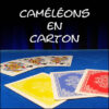 Caméléons en carton
