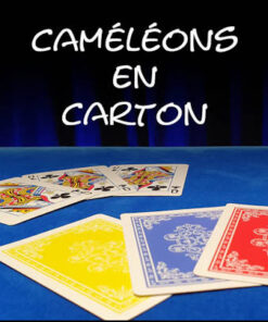 Caméléons en carton